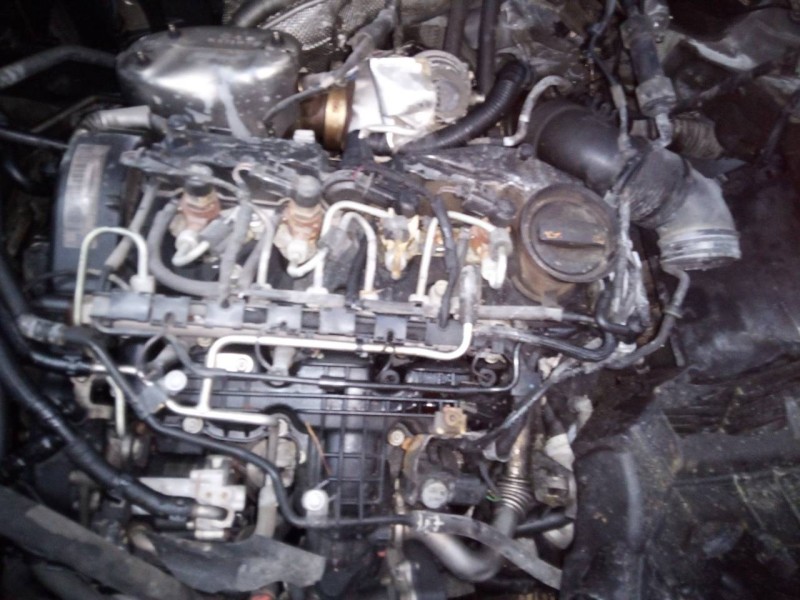 volkswagen golf vi (5k1) del año 2011