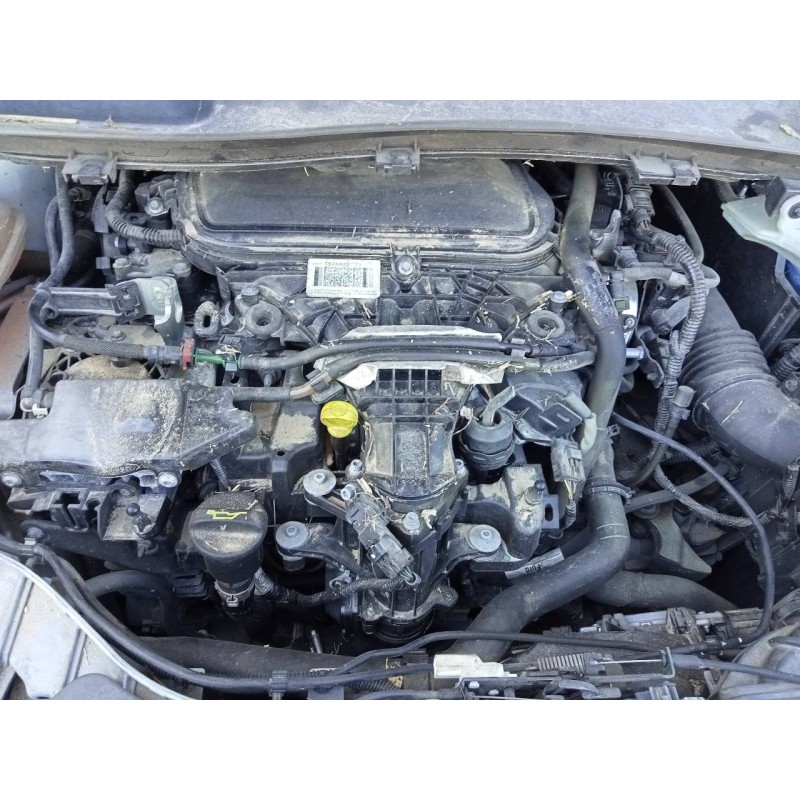 ford kuga (cbs) del año 2014