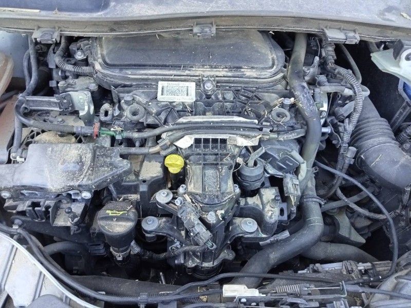 ford kuga (cbs) del año 2014