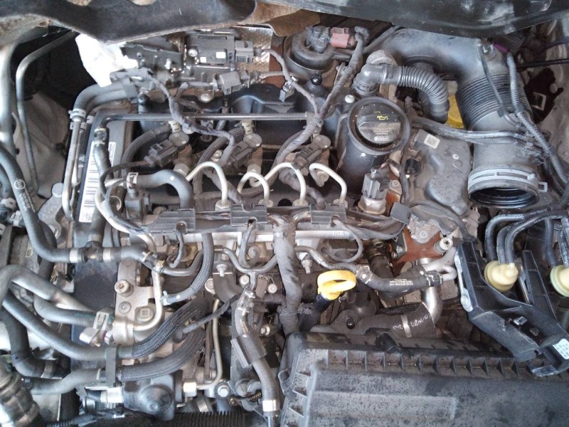 volkswagen polo (6c1) del año 2015