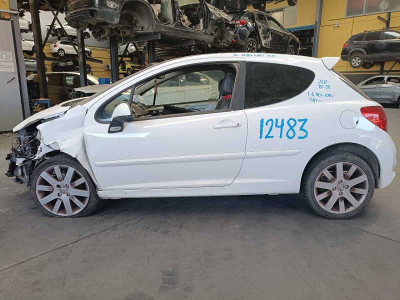 peugeot 207 del año 2007