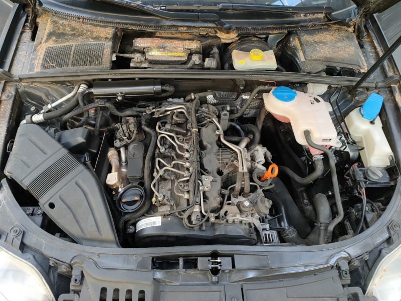 seat exeo berlina (3r2) del año 2011