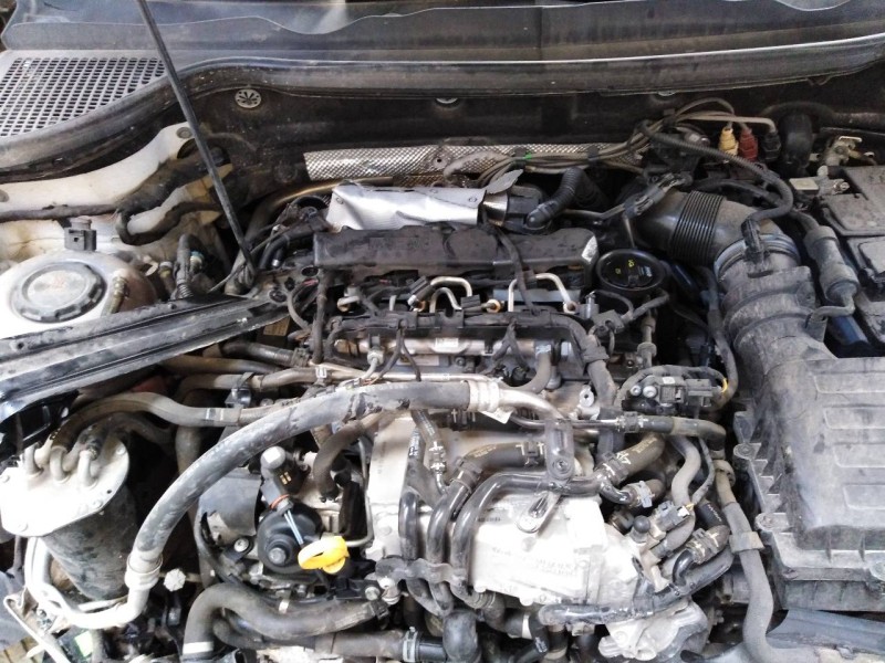 skoda karoq (nu) del año 2019