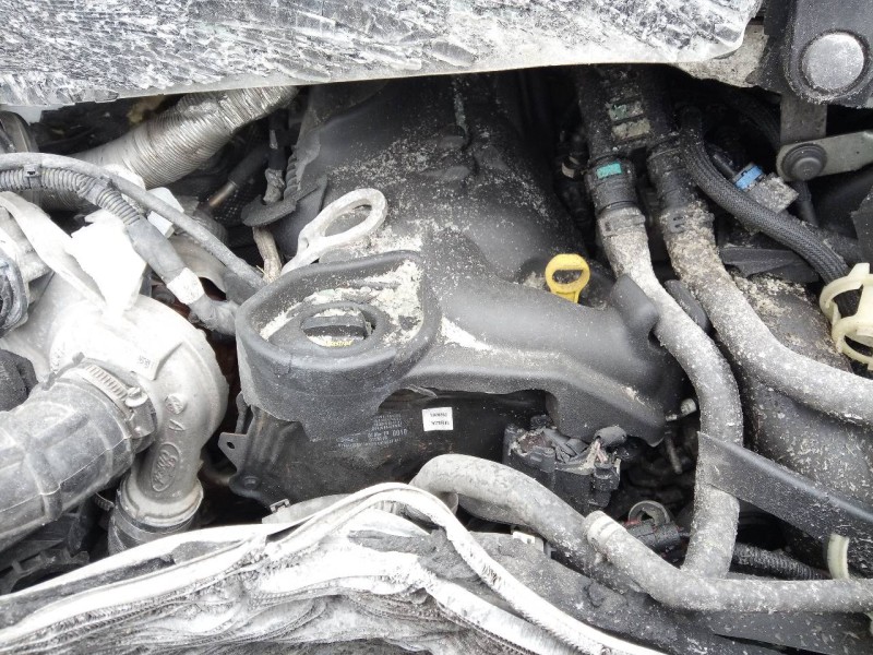 ford transit kastenwagen (ttg) del año 2018