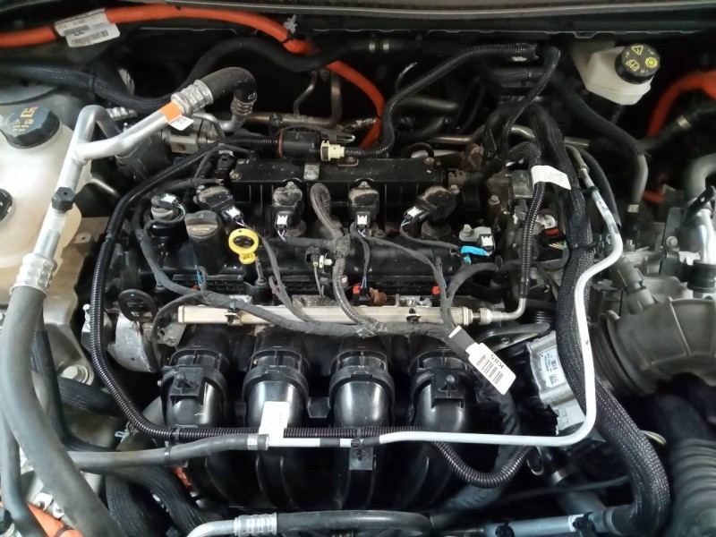 ford kuga del año 2023