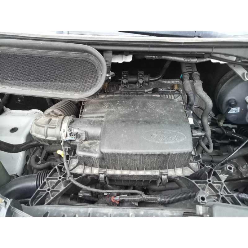 ford transit custom kasten del año 2019