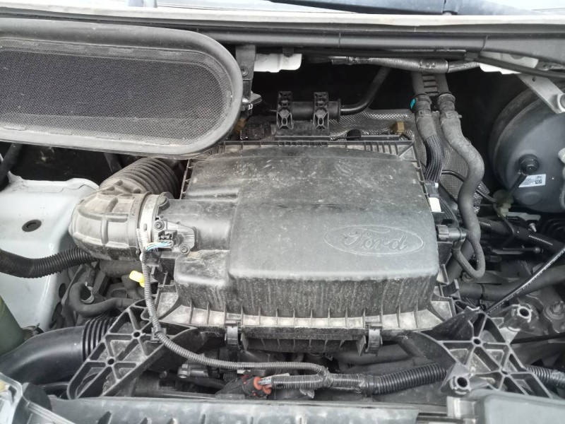 ford transit custom kasten del año 2019