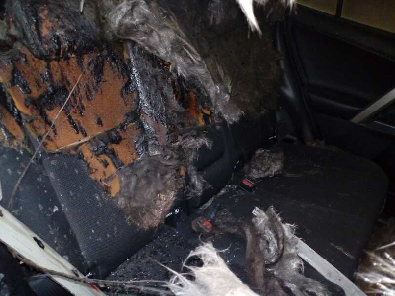 toyota rav 4 del año 2016