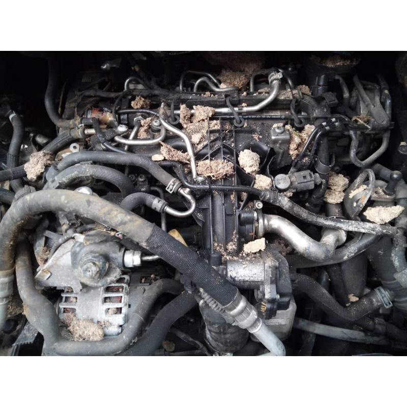 volkswagen tiguan (5n2) del año 2011