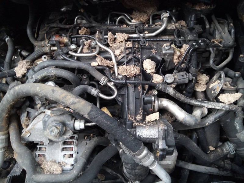 volkswagen tiguan (5n2) del año 2011