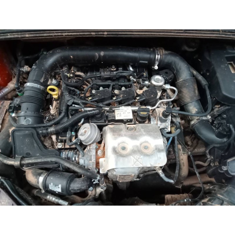 ford focus del año 2018