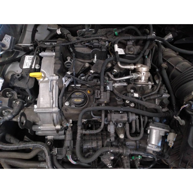 ford focus del año 2023