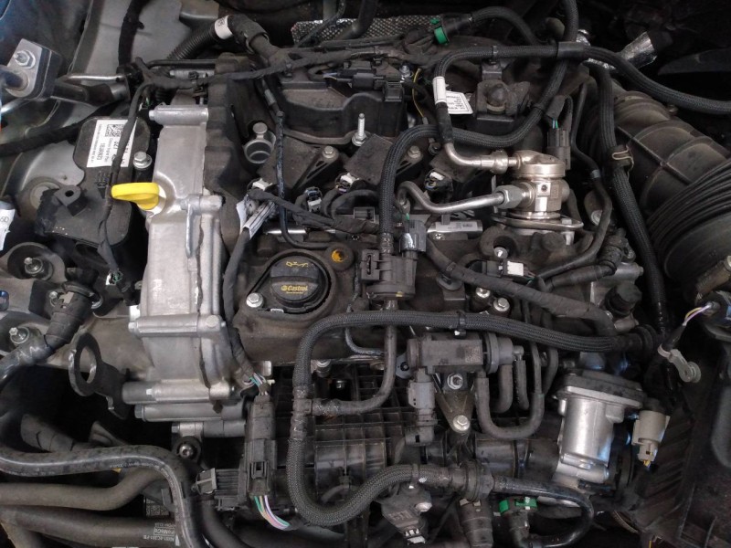 ford focus del año 2023