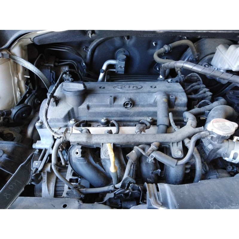 kia rio del año 2014