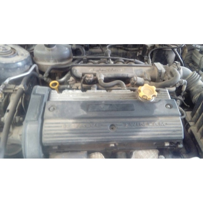 mg mg zr (f/rf) del año 2004