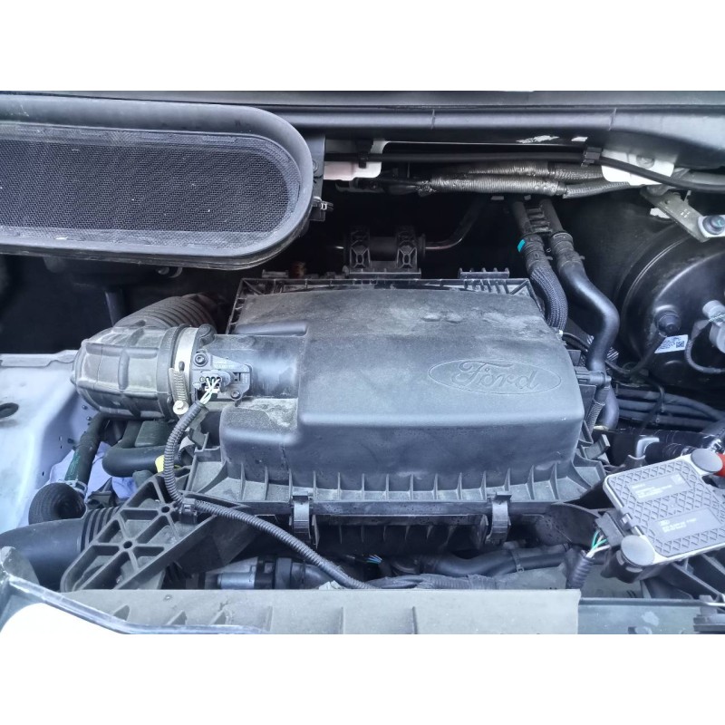 ford transit custom kasten del año 2021