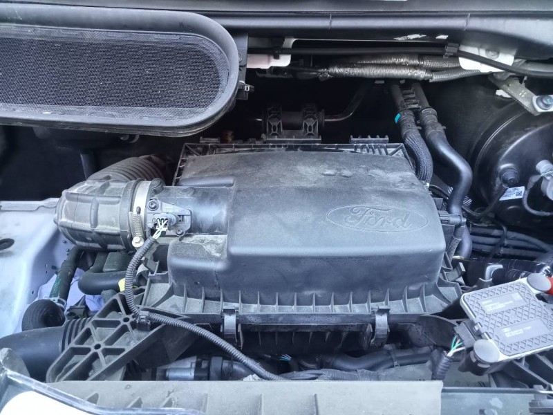 ford transit custom kasten del año 2021