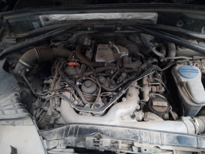 audi q5 (8r) del año 2010