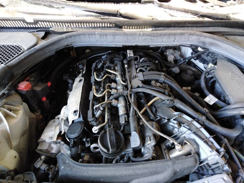 bmw serie 5 berlina (g30) del año 2020