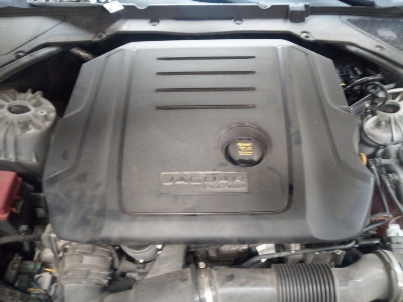 jaguar xe del año 2014