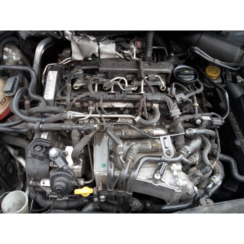 skoda rapid del año 2016