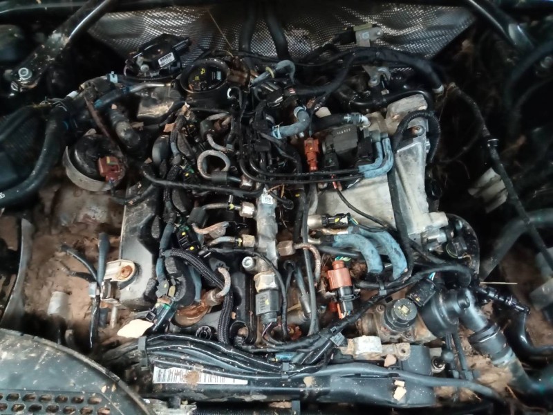 audi q5 (fyb) del año 2017