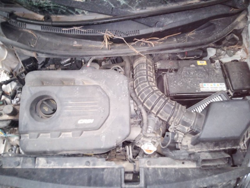 kia rio del año 2014