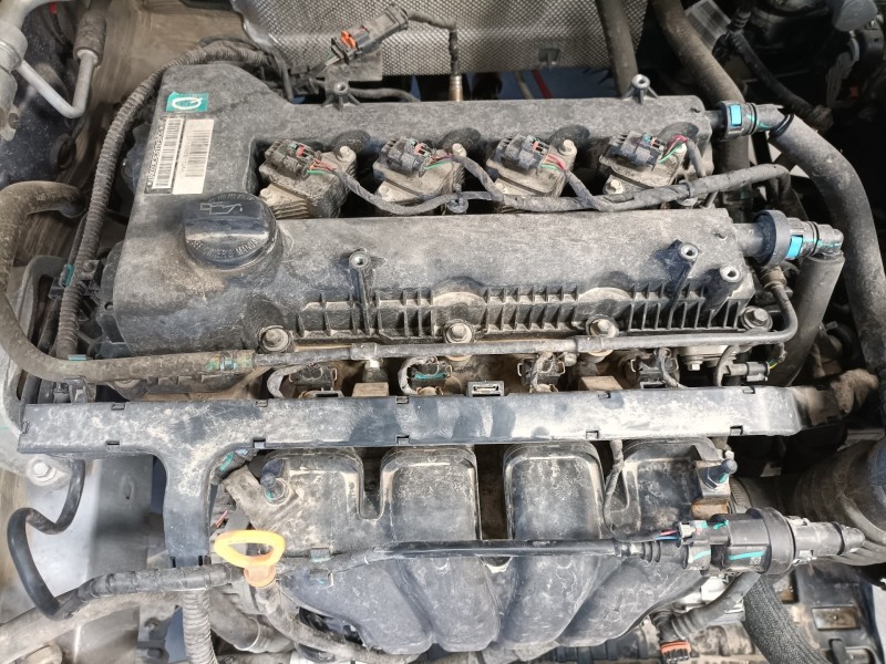 dr dr5 del año 2022