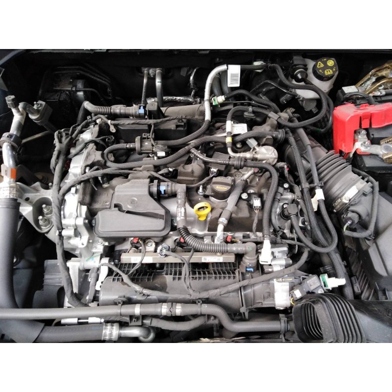 ford kuga del año 2022