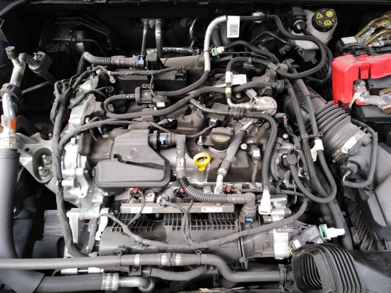 ford kuga del año 2022