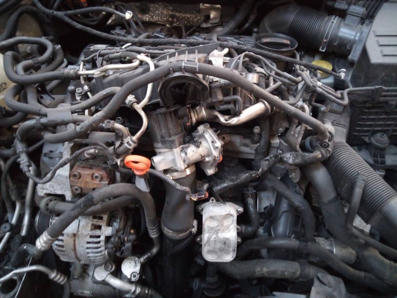 audi a1 (8x) del año 2013