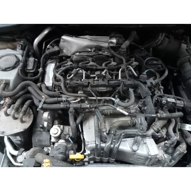 seat ibiza (kj1) del año 2021