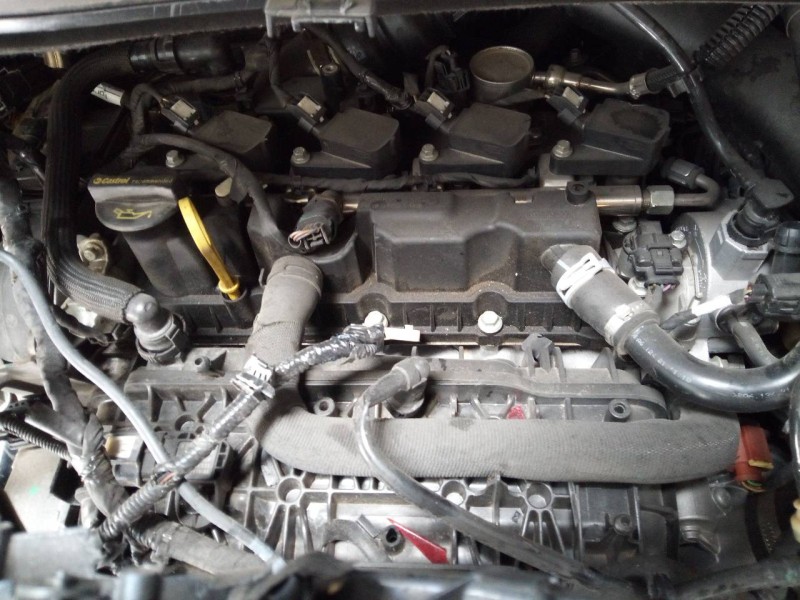 ford kuga (cbs) del año 2019