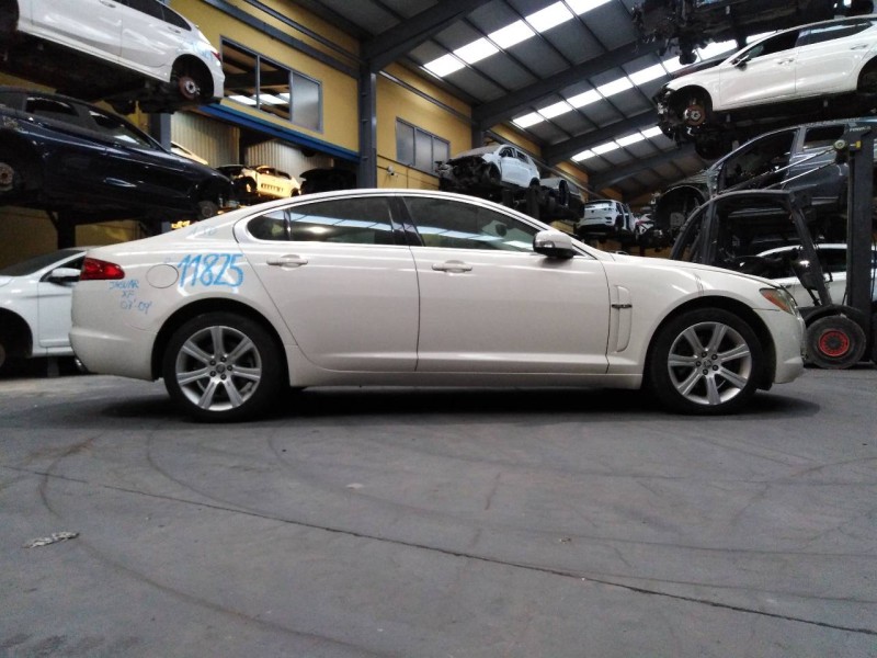 jaguar xf del año 2008