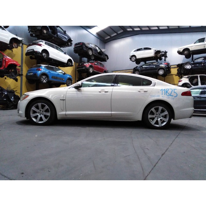 jaguar xf del año 2008
