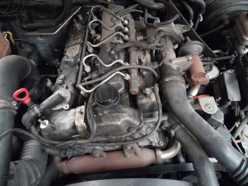 ssangyong rexton del año 2003