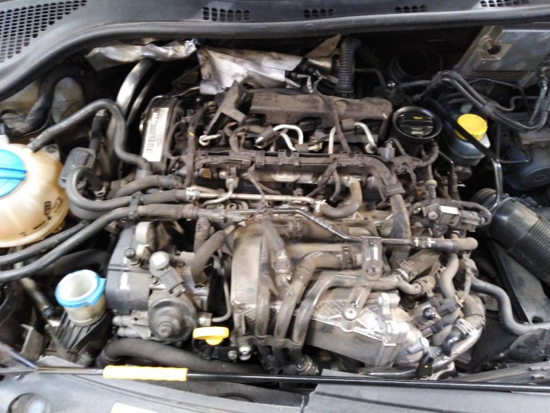 skoda rapid del año 2017