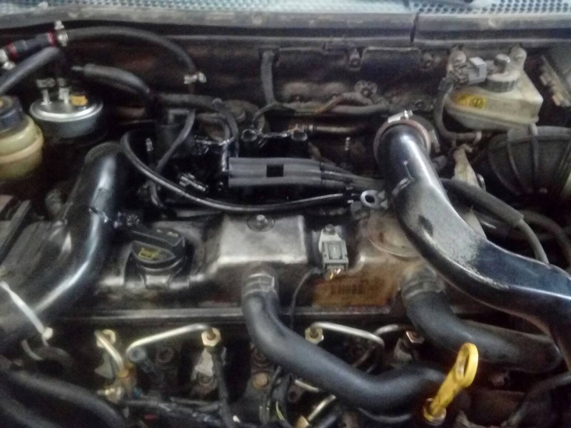 ford focus berlina (cak) del año 2002