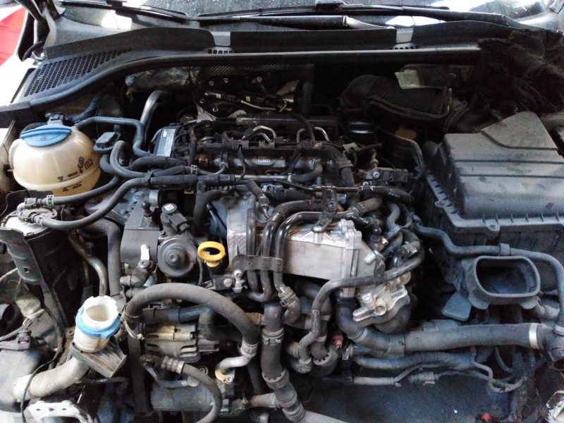 skoda rapid del año 2016