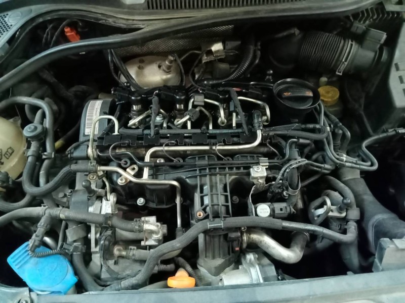 volkswagen polo (6r1) del año 2011