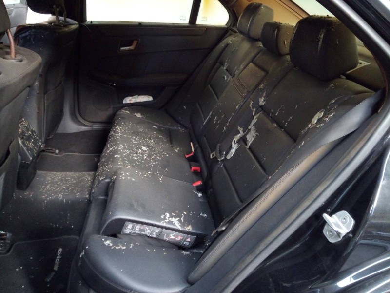 mercedes-benz clase e (w212) lim. del año 2005