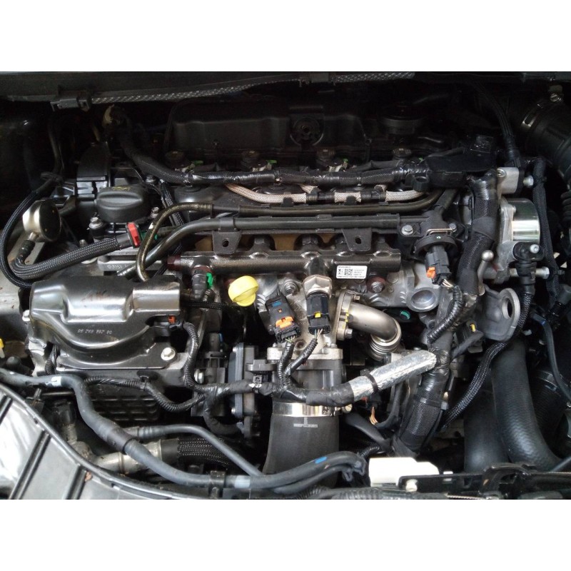 ford kuga (cbs) del año 2017