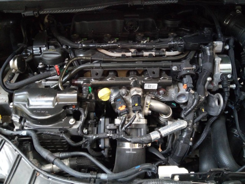 ford kuga (cbs) del año 2017