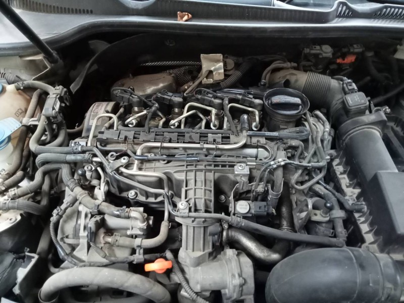 volkswagen golf vi (5k1) del año 2012