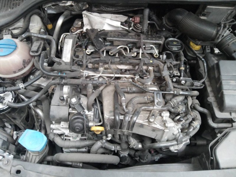 skoda rapid del año 2016