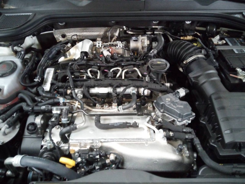 volkswagen golf viii lim. (cd1) del año 2023