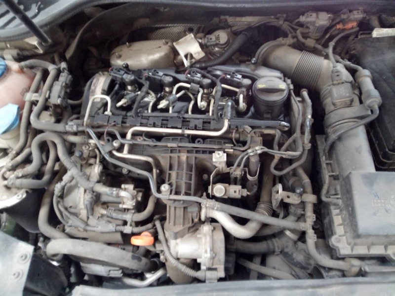 volkswagen golf vi (5k1) del año 2011