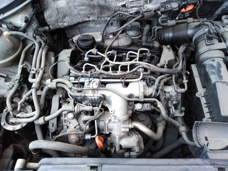 volkswagen tiguan (5n2) del año 2008