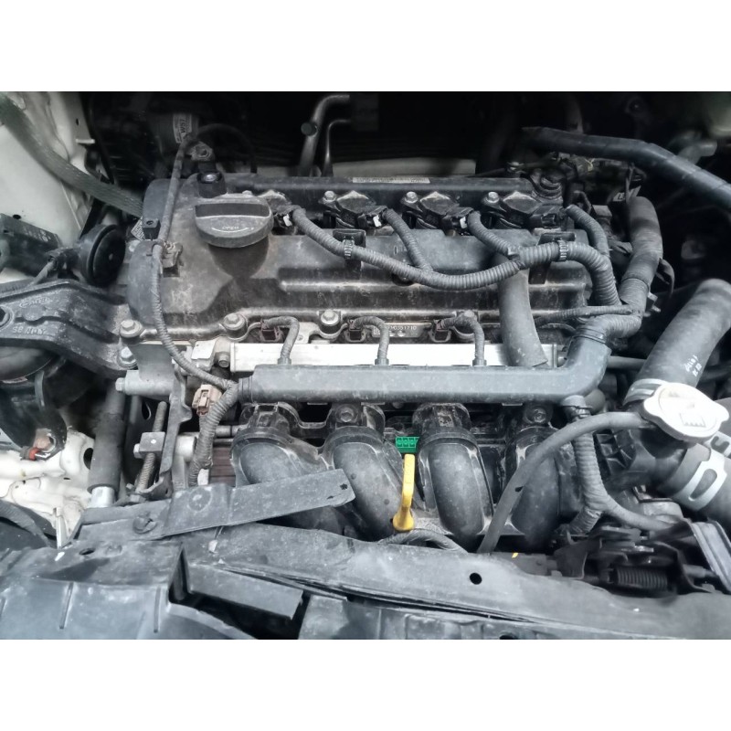 kia rio del año 2016