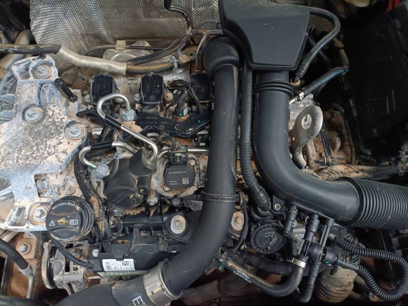 mercedes-benz clase a (bm 177) del año 2019